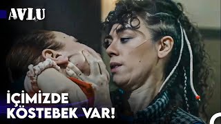 Herkes Yanımdaydı Düşene Kadar - Avlu