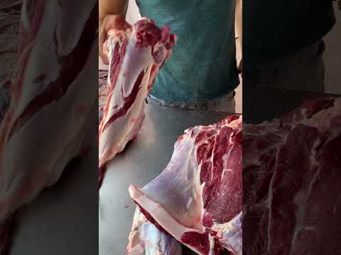 شرح لكل قطعة من الكتف