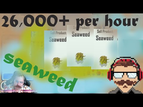 TOWN STAR GODOT - SEAWEED 