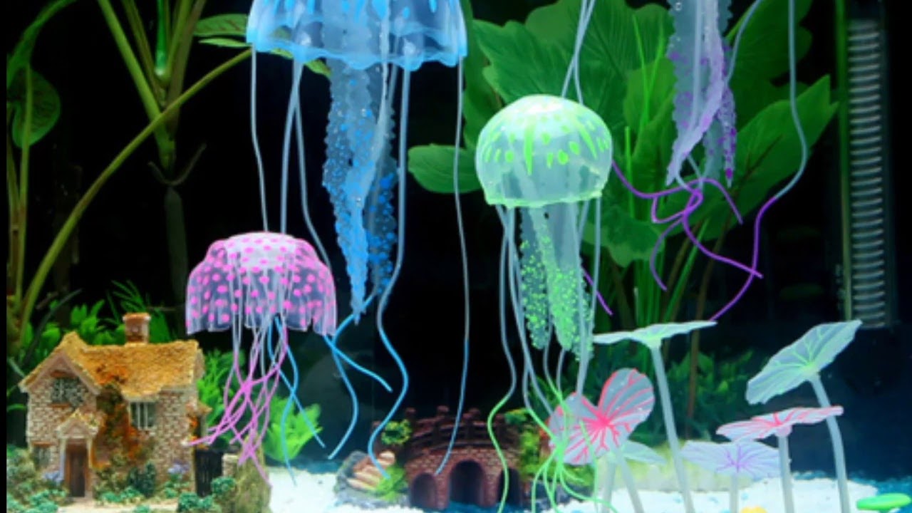 ASMR Fish Tank Bubbles Sounds for Relaxation & Sleeping Goodnight