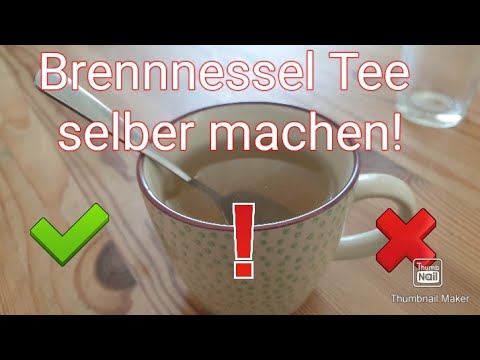 Brennnessel Tee selber machen!