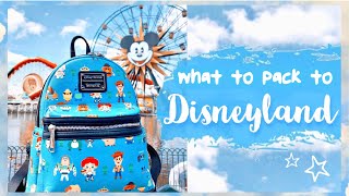 What to Pack to Disneyland