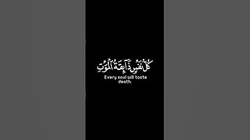 القران الكريم الراحة النفسية #المصحف #إسلام_صبحي #راحة_نفسية #الرحمن
