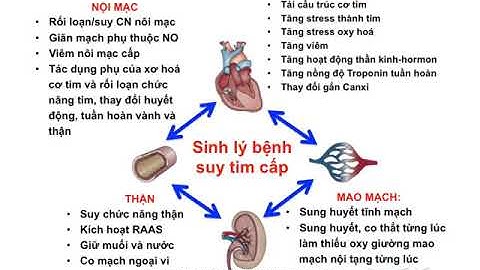 Suy tim cấp & Phù phổi cấp huyết động [Video Tim mạch 12/25]