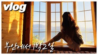 Vlog 지나의 1박2일 부안 여행 - 우리가 미처 몰랐던 흙 속의 진주 부안을 소개합니다.