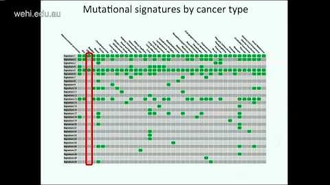 Stratton M (2015): Signatures of mutational processes in human cancer