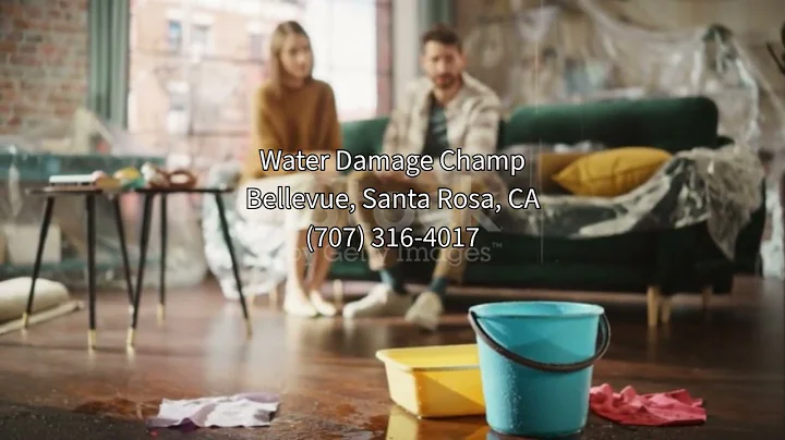 Water Damage Restoration Bellevue Santa Rosa CA | Water Damage Champ