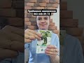 #насіння #дача #огірки