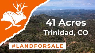 Colorado Land for Sale  41.04 Private, Mountainous Acres in Trinidad, Las Animas County, Colorado