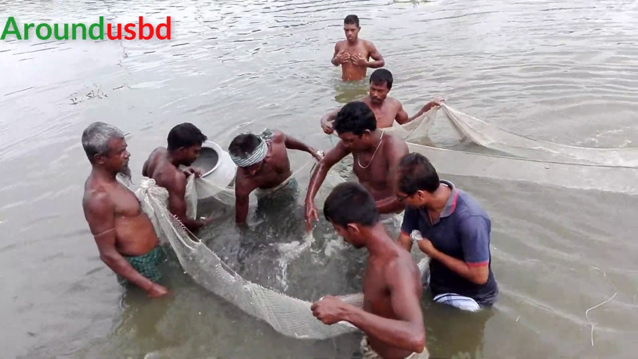 net fishing in bangladesh village fish seling bazar Traditional cast net fishing in village