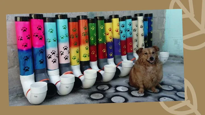 Stray dogs in Mexico | Michelle Rios