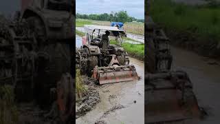 Tractor Plowing the field #Shorts