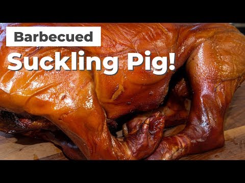 bbq-suckling-pig-on-the-pit-barrel-cooker!-|-pig-roast