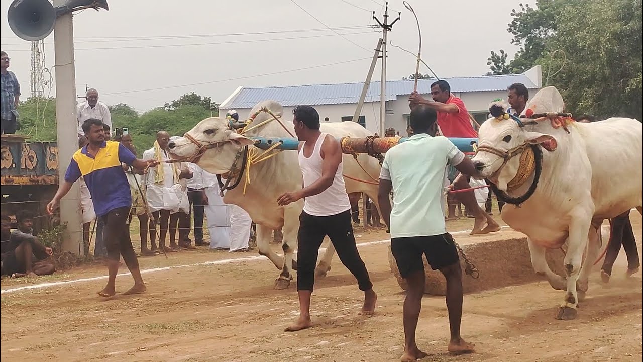 Old category |Ongolebulls రేస్(part 1 video) 