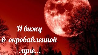 Чего Ожидать ? И Вижу В Окровавленной Луне. Иеромонах Роман/ Лучшие Стихи Для Души/  Стихи На Ю Тубе