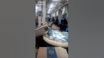 مصنع الشيبسي 