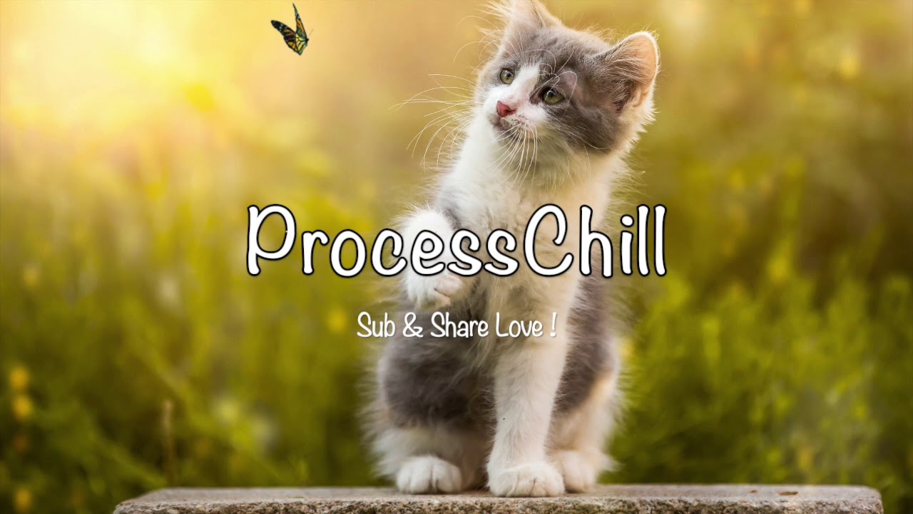 DYNAMO - Rise Up ♫ No Copyright ♫ Process Music ♫ World Best Music ♫