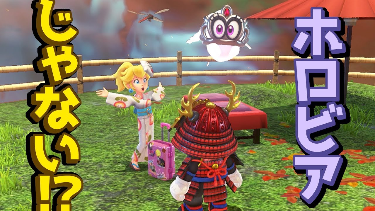 ☆45 [Complete with Holovia! & Bowser's Kingdom] A gentle
