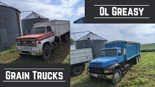 Ol Greasy Grain Trucks Chevy c65 + International 4700