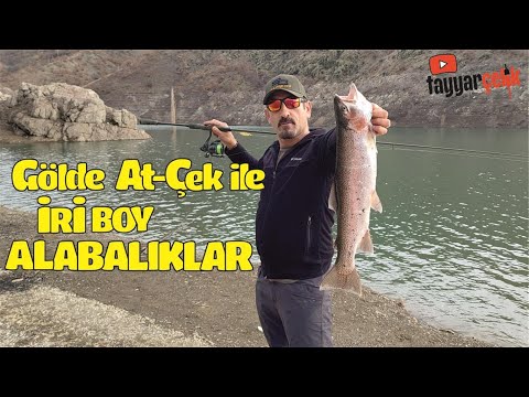 Gölde At çek İle ALABALIK AVI Efsane Boy Balıklar Aldık