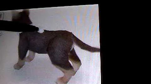 Nintendogs Help and Advice: Basic Trick: Beg [END]