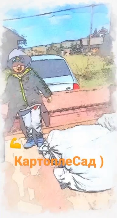 #картопля #бульба #бараболя #картошка - YouTube