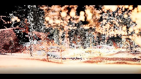 Point cloud render of a pine forest - UE4.