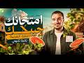                                                                                                   نجومي