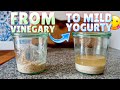 How to Make Your Sourdough Starter taste like Mild Yoghurt