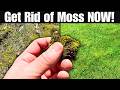 The BEST Way to Get Rid of Moss For GOOD!