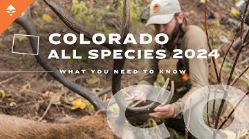 Hunting in Colorado Explained | Everything You Need to Know