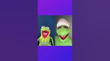 Kermit The Frog Sings NEVER GONNA GIVE YOU UP TIKTOK !!