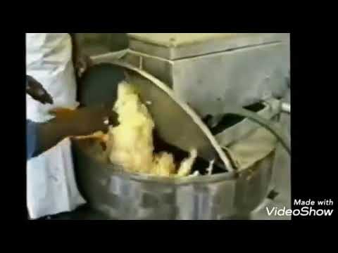 Duck processing - YouTube
