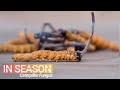 Cordyceps Season: Hunt for the World’s Most Expensive Fungus - In Season (S1E4)