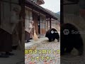 キレるお婆さん #shorts