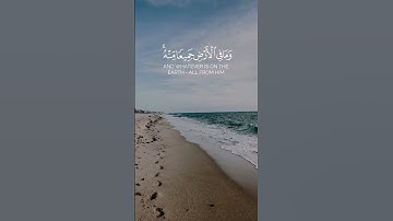 (ولعلّكم تَشكرون) ماتيسر من سورة الجاثية للقارئ الشيخ رعد الكردي ♥️🌿