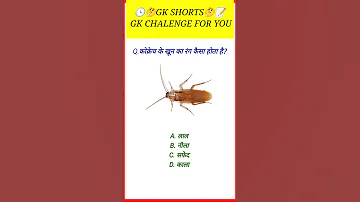 GK SSC GK Quiz | gk question gk in hindik quiz in hindi #sarkarinaukarigk #rkgkgsstudy #education#gk