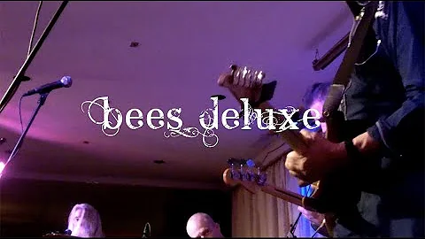 Bees Deluxe live at the Bull Run, New Year's Eve 2...