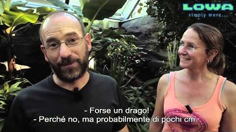 SKYISLANDS - The film