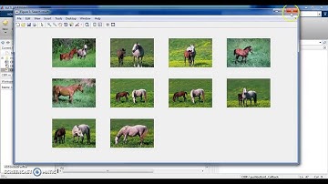Content based image retrieval (CBIR) in  MATLAB + Detailed report