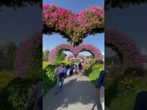 The Dubai frame 🇦🇪 #garden #future #museum