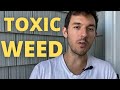 My toxic relationship with weed why i quit smoking weed