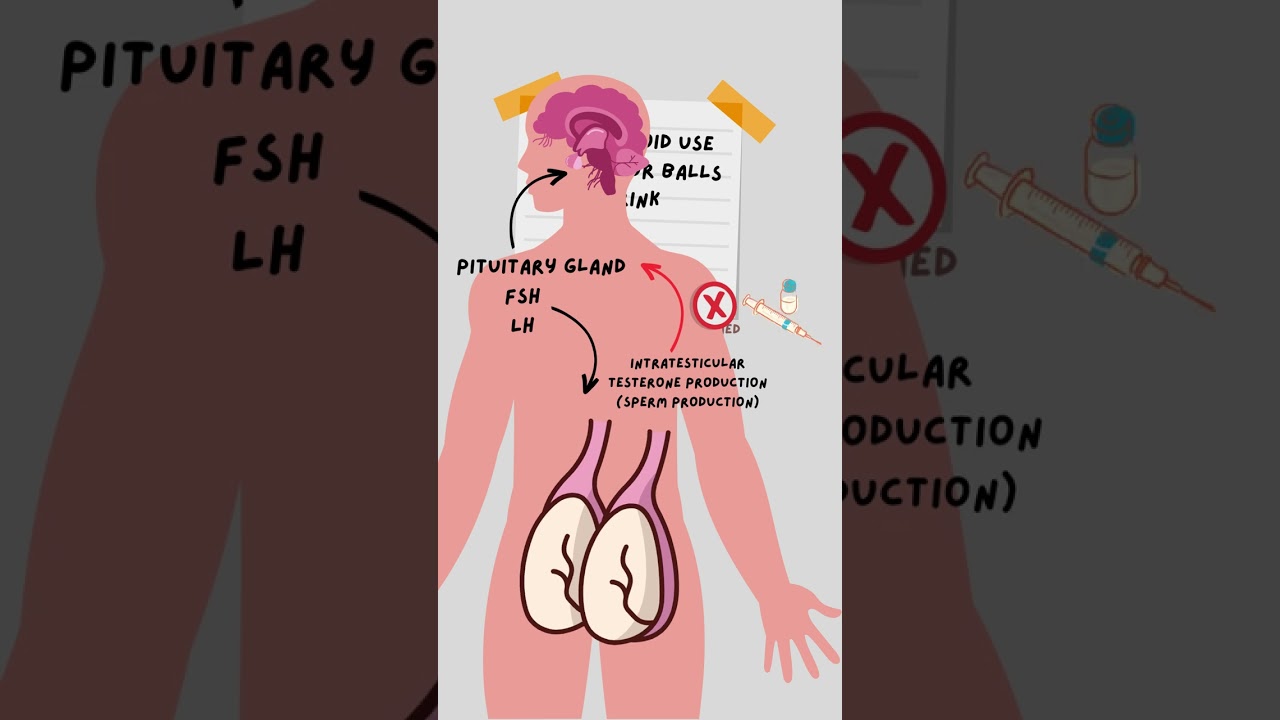 Why steroid use makes your balls shrink! 