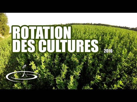 Vidéo: La culture est la principale méthode de travail du sol dans l'agriculture