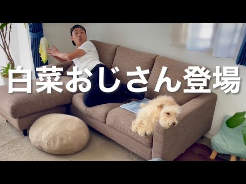 白菜おじさんが愛犬にサプライズ！(はくサプ)