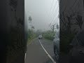 Jalan Wanagiri Bedugul #shortvideo #shorts