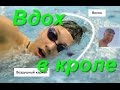 Дыхание в кроле на груди Практика КАК НАУЧИТЬСЯ ПРАВИЛЬНО ПЛАВАТЬ How to learn to swim Freestyle