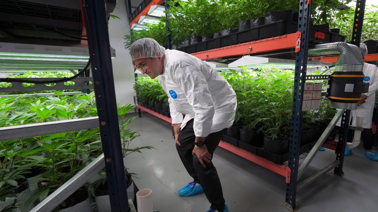 Delaware prepares for opening day of marijuana recreational sales, Gov. Meyer touts potential