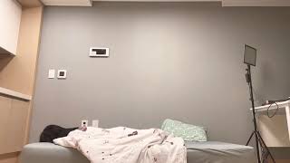 YouTube video Hgga1folceg
