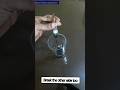 How To Break A Glass Ampoule Shorts Shortsafrica Pullupyoshorts Viral Trending How To Break A Glass Ampoule Shorts Shortsafrica Pullupyoshorts Viral Trending